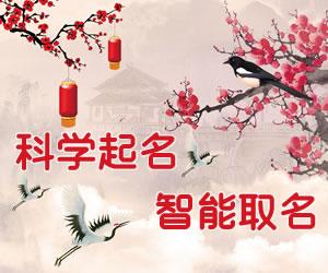 效果图起名(服装效果图起名) (2)-第1张图片-周易占卜网 - 免费算命_生辰八字算命_八字合婚姻