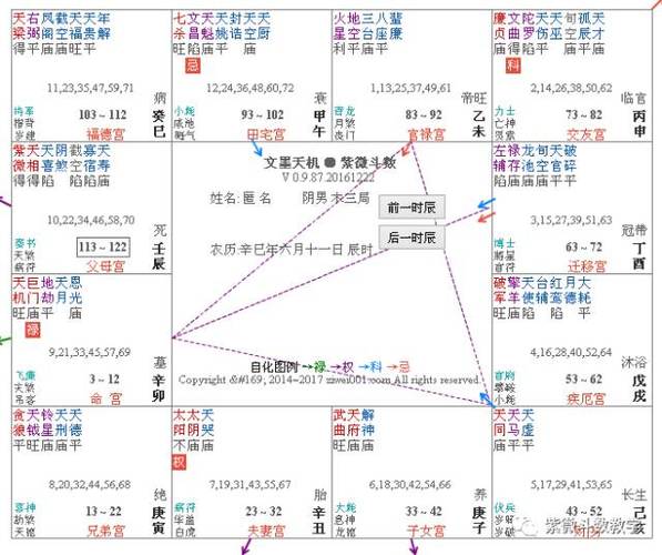 神巴巴紫薇算命事业(神巴巴算命网免费紫薇星盘-第1张图片-周易占卜网 - 免费算命_生辰八字算命_八字合婚姻