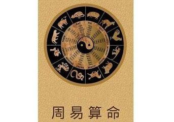 生辰八字算命做生意(生辰八字查询免费算命)-第1张图片-周易占卜网 - 免费算命_生辰八字算命_八字合婚姻