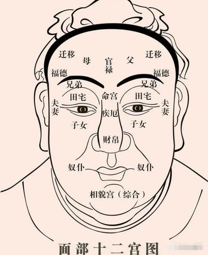 眼睛变小算命(眼睛看相算命图解)-第1张图片-周易占卜网 - 免费算命_生辰八字算命_八字合婚姻