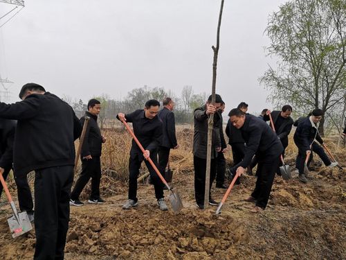 固始县黎集算命(固始县什么地方算命最灵)-第1张图片-周易占卜网 - 免费算命_生辰八字算命_八字合婚姻