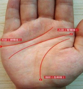 教学手掌算命(手掌指纹算命图解)-第1张图片-周易占卜网 - 免费算命_生辰八字算命_八字合婚姻