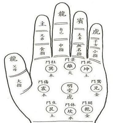 男人手纹算命图解（男人手指纹算命图解介绍）-第1张图片-周易占卜网 - 免费算命_生辰八字算命_八字合婚姻