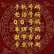 吉祥数字查询（车牌号吉祥数字查询）-第2张图片-周易占卜网 - 免费算命_生辰八字算命_八字合婚姻