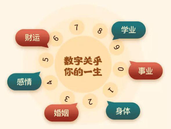 算命电话号码是多少(算命的电话号码是多少)-第1张图片-周易占卜网 - 免费算命_生辰八字算命_八字合婚姻