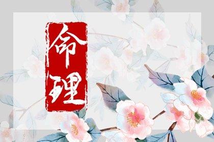 算命落花女-第1张图片-周易占卜网 - 免费算命_生辰八字算命_八字合婚姻