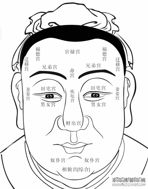 额头男人面相算命图解大全(男人眉毛面相算命图-第1张图片-周易占卜网 - 免费算命_生辰八字算命_八字合婚姻