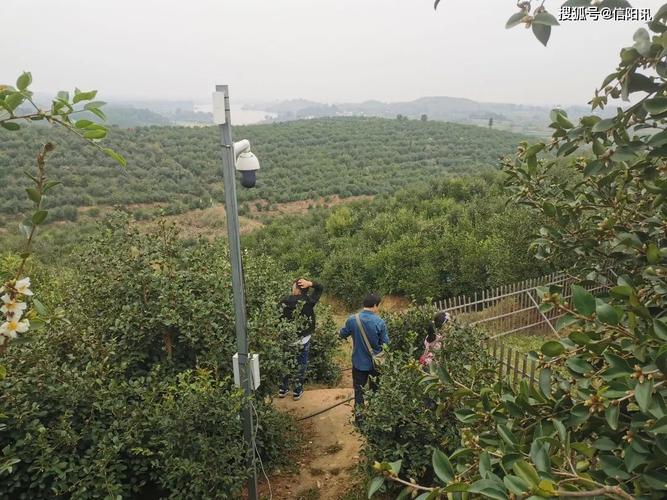 光山算命(光山算命比较灵的)-第2张图片-周易占卜网 - 免费算命_生辰八字算命_八字合婚姻