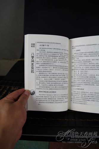 重生算命风水的小说(穿越重生算命风水类小说-第1张图片-周易占卜网 - 免费算命_生辰八字算命_八字合婚姻