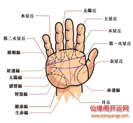 秦皇岛仙缘阁算命电话-第2张图片-周易占卜网 - 免费算命_生辰八字算命_八字合婚姻