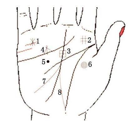 男人发财手相算命图解大全(男人九种手相算命图-第2张图片-周易占卜网 - 免费算命_生辰八字算命_八字合婚姻