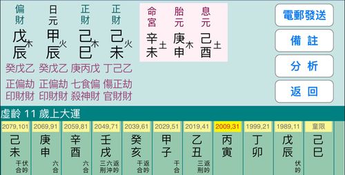 己巳年壬申月癸亥日算命(己巳壬申癸亥辛酉)-第1张图片-周易占卜网 - 免费算命_生辰八字算命_八字合婚姻