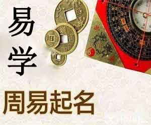 哪里的算命的灵(南昌哪里算命比较灵的)-第1张图片-周易占卜网 - 免费算命_生辰八字算命_八字合婚姻