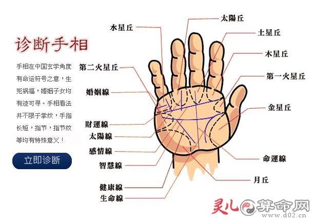 右手背部胎记算命图解(后脑勺胎记算命图解)-第1张图片-周易占卜网 - 免费算命_生辰八字算命_八字合婚姻