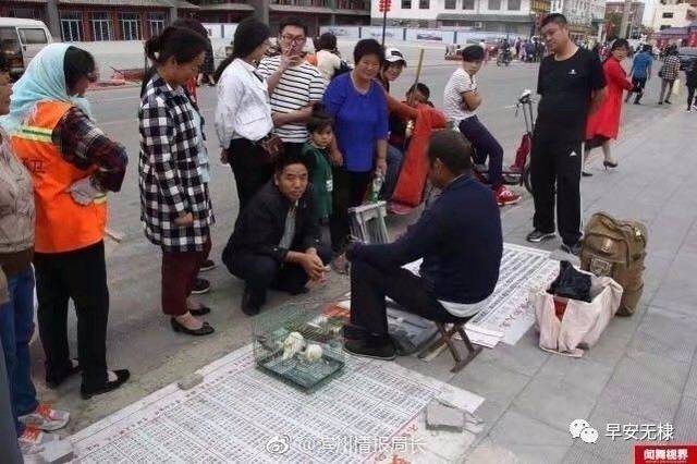 鸟叼书算命(算命鸟叼牌怎么回事)-第1张图片-周易占卜网 - 免费算命_生辰八字算命_八字合婚姻