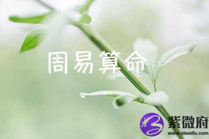 出生日期成两算命(出生日期称骨算命)-第1张图片-周易占卜网 - 免费算命_生辰八字算命_八字合婚姻