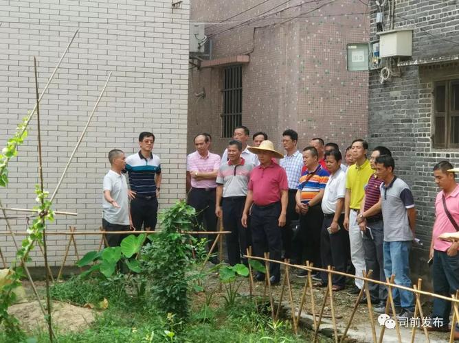 新会司前算命(江门新会哪里有算命的)-第2张图片-周易占卜网 - 免费算命_生辰八字算命_八字合婚姻