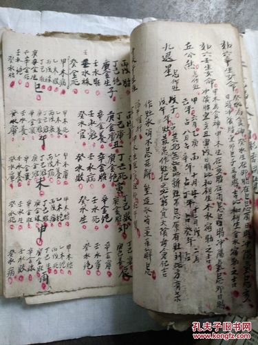 看算命书(看算命书算命准吗)-第1张图片-周易占卜网 - 免费算命_生辰八字算命_八字合婚姻