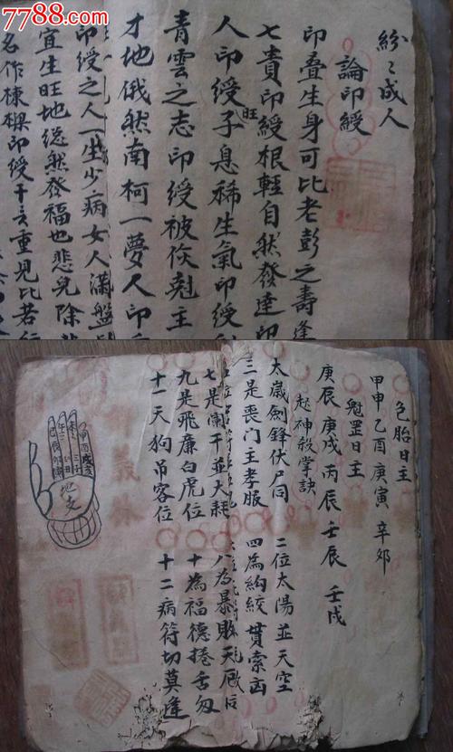 姚字算命(三字诸葛算命)-第1张图片-周易占卜网 - 免费算命_生辰八字算命_八字合婚姻