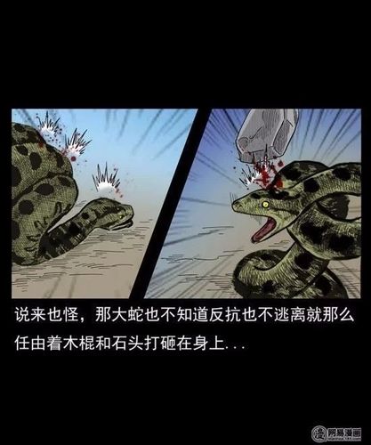 算命的天谴(算命天谴有哪些)-第1张图片-周易占卜网 - 免费算命_生辰八字算命_八字合婚姻