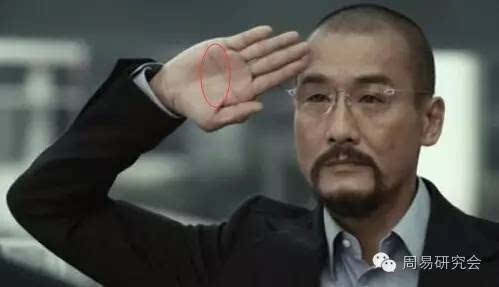 算命中命硬是什么意思(算命的说的命硬是什么意-第2张图片-周易占卜网 - 免费算命_生辰八字算命_八字合婚姻