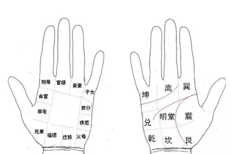 算命说手相招财(手相算命免费测试)-第1张图片-周易占卜网 - 免费算命_生辰八字算命_八字合婚姻