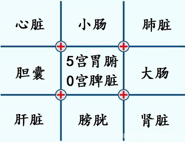 掌上洛书算命术(洛书缘算命)-第2张图片-周易占卜网 - 免费算命_生辰八字算命_八字合婚姻