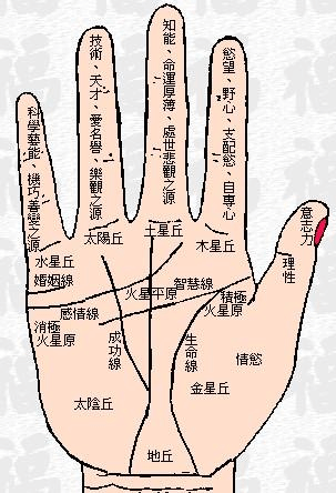 富贵手纹算命图解(五角星手纹算命图解)-第1张图片-周易占卜网 - 免费算命_生辰八字算命_八字合婚姻
