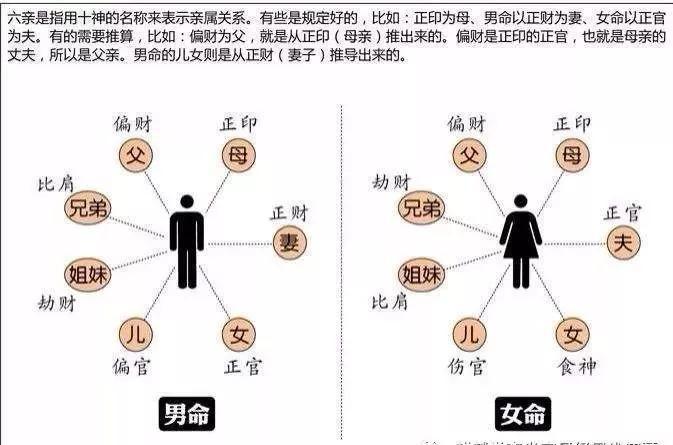 算命食神商官(算命当中说的食神什么意思)-第2张图片-周易占卜网 - 免费算命_生辰八字算命_八字合婚姻