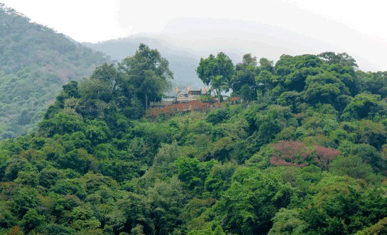 飞霞山算命鸟(霞山哪里算命准)-第1张图片-周易占卜网 - 免费算命_生辰八字算命_八字合婚姻