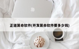 正道算命软件(开发算命软件要多少钱)