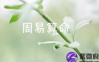 出生日期成两算命(出生日期称骨算命)