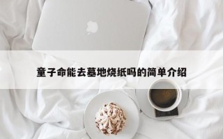 童子命能去墓地烧纸吗的简单介绍