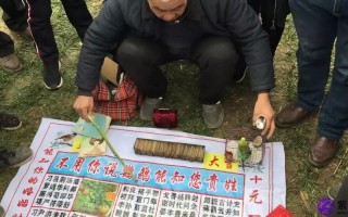 又想算命又不敢(想算命又不敢去算)