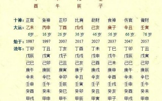 下载免费排四柱算命(八字四柱算命排盘)