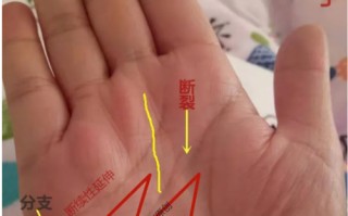掌纹算命仪(掌纹拍照算命)
