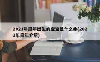 2023年鼠年出生的宝宝是什么命(2023年鼠年介绍)