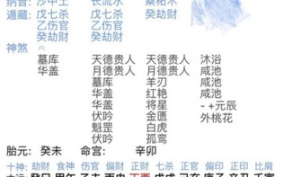 安康网八字算命网址(安康网算命八字一生详批