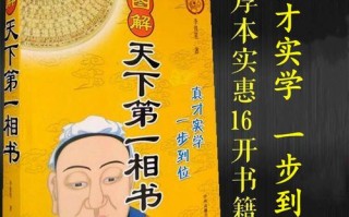 江湖黑道掌看相算命