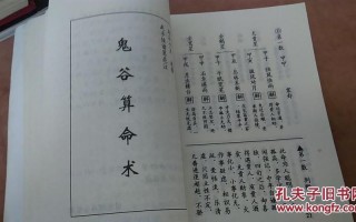 算命说双鼠是什么意思(算命双猴是什么意思)