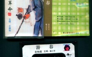 瞎子算命培训班(扬剧王瞎子算命全场)
