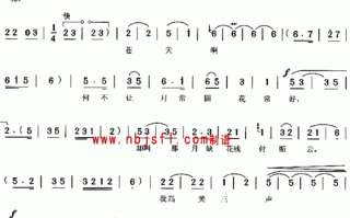 锡剧沙漠王子算命歌词(越剧沙漠王子算命完整歌