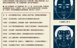 面相算命图解大全图(男士痣面相算命图解大全