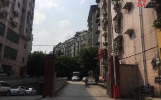 北碚哪里算命最准(北京哪里算命比较准求推荐