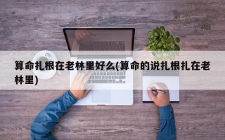 算命扎根在老林里好么(算命的说扎根扎在老林里)