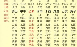 八字算命看天干还是地支(算命地支所藏天干)