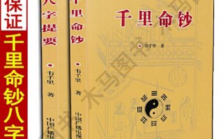 学算命的代价(做算命师付出的代价)