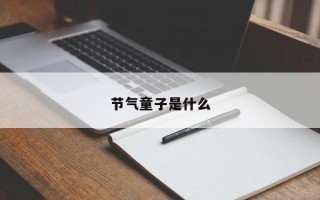 节气童子是什么