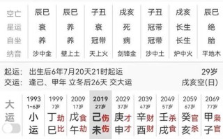 算命免费岁今年运气如何(算命属狗的今年运气