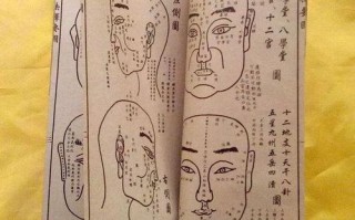 骨重算命女性(骨重算命表女性讲解)